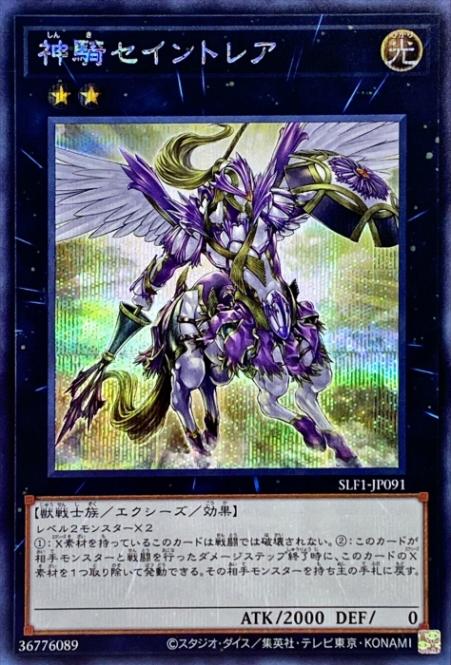 11/SLF1-JP091 ȥ쥢ڥåȥ쥢