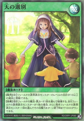 RD/ORP1-JP065 ŷ�����̡ڥ����ѡ��쥢��