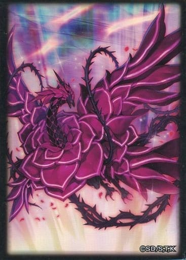 ͷ����OCG �ǥ奨�ꥹ�ȥ����ɥץ��ƥ������֥�åɡ����������ɥ饴��(100������)��̤������