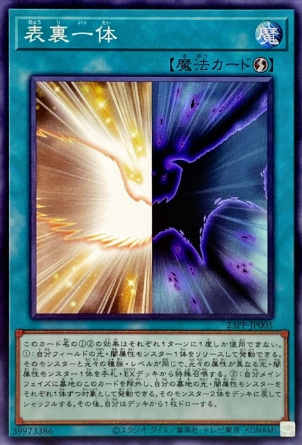 23PP-JP005 ɽ΢����