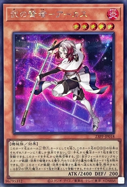 23PP-JP018 ��θ��ԡݥ��������ڥ�������åȥ쥢��