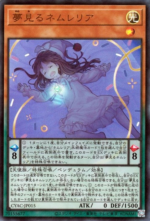 サイバーストーム・アクセス(CYAC)