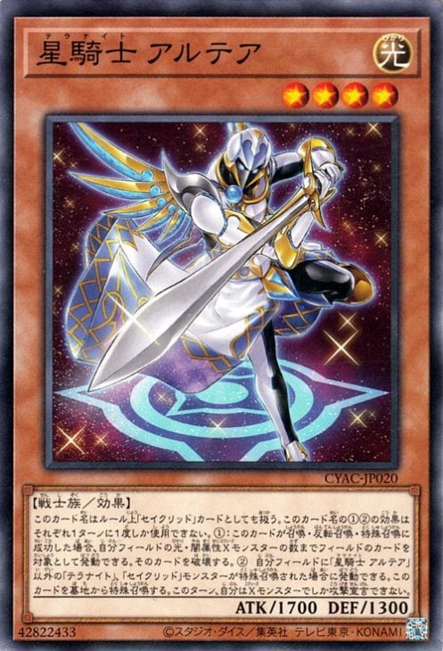 ��11��/12��/CYAC-JP020 ������ ����ƥ�