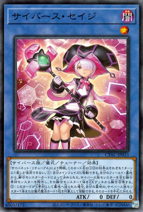 サイバース・セイジ