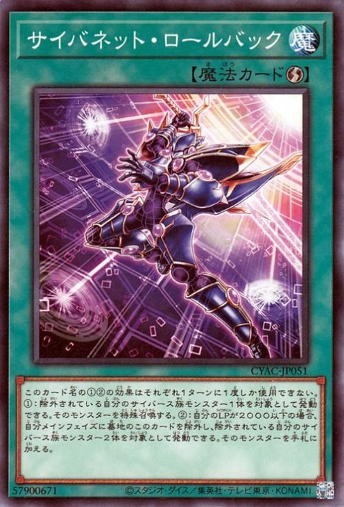 サイバネット・ロールバック