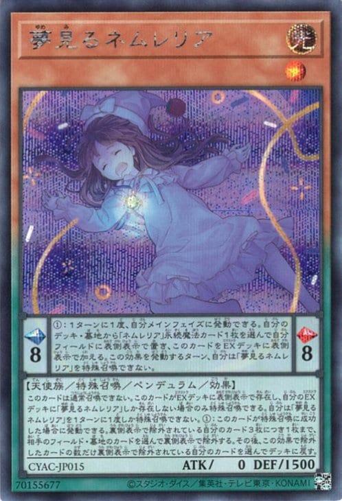 サイバーストーム・アクセス(CYAC)