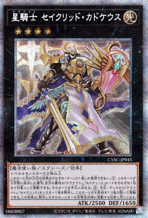 サイバーストーム・アクセス(CYAC)