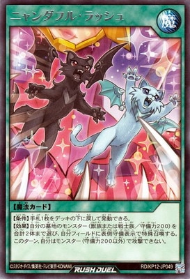 RD/KP12-JP049 ˥ե롦å R