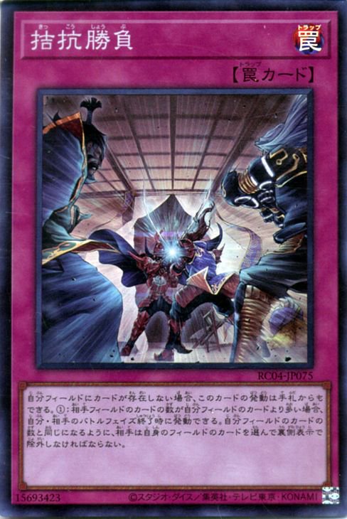 ��11��/RC04-JP075 �ɹ�����ڥ����ѡ��쥢��