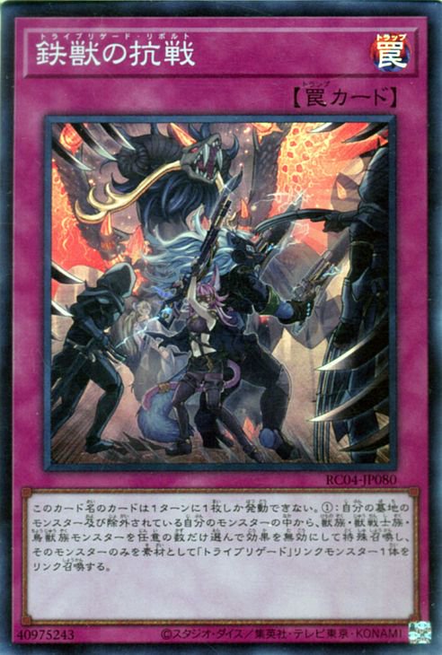 ��11��/RC04-JP080 Ŵ�äι���ڥ����ѡ��쥢��