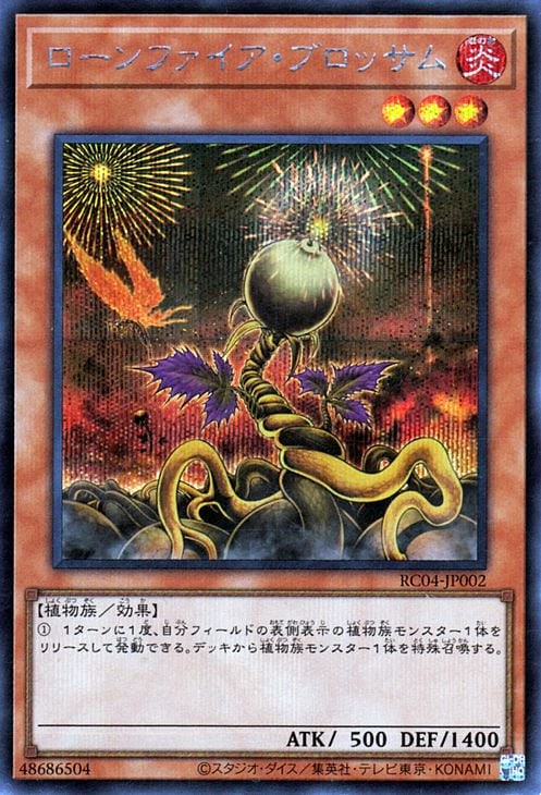 11/RC04-JP002 ե֥åڥåȥ쥢