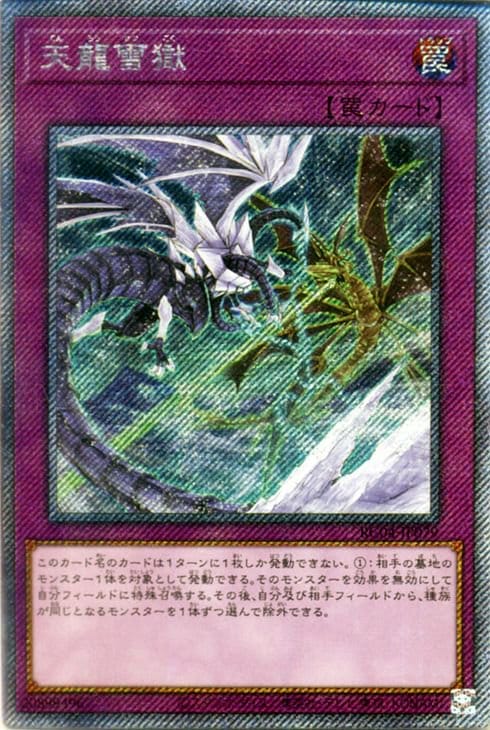 レアコレ4 エクストラシークレット　コンプリート 第11期/RC04-JP079 天龍雪獄【エクストラシークレットレア】 | 遊戯王