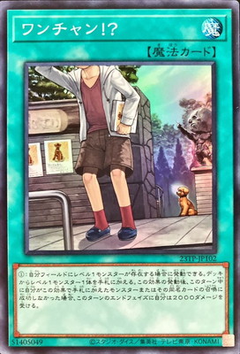 ȡʥȥѥå/23TP-JP102 󡪡 ڥѡ쥢