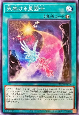 ȡʥȥѥå/23TP-JP114 ŷͤ