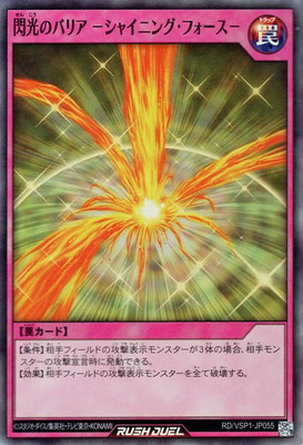 RD/VSP1-JP055 �����ΥХꥢ �ݥ��㥤�˥󥰡��ե������ݡڥ����ѡ��쥢��