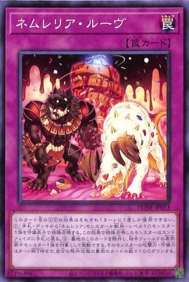 ��12��/01��/DUNE-JP073 �ͥ��ꥢ���롼��