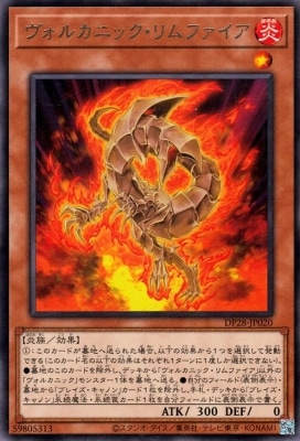 ��12��/DP28-JP020  �����륫�˥å������ե����� R