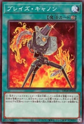 ��12��/DP28-JP030  �֥쥤��������Υ�