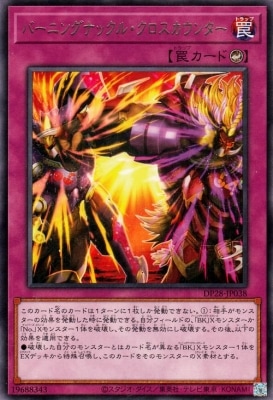 ��12��/DP28-JP038  �С��˥󥰥ʥå��롦�����������󥿡� R