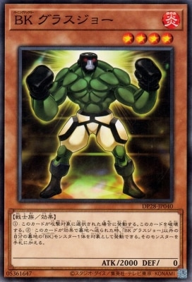 ��12��/DP28-JP040  �£� ���饹���硼