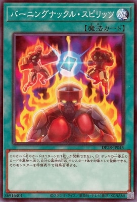 ��12��/DP28-JP045  �С��˥󥰥ʥå��롦���ԥ�å�