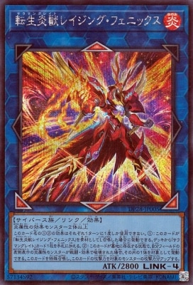 ��12��/DP28-JP005  ž����å쥤���󥰡��ե��˥å����ڥ�������åȥ쥢��