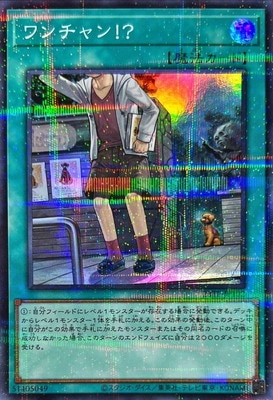 ȡʥȥѥå/23TP-JP102 󡪡ڥѡ쥢ѥ