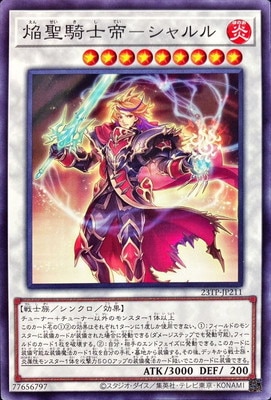 ȡʥȥѥå/23TP-JP211 ݥ