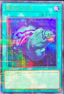 ����Ʊ��������/TBC1-JP013 ���ߤʥ��ĥܡڥ���ȥ�ѥ���쥢��