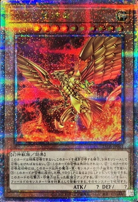 ����Ʊ��������/25DS-JP001 �顼�����ε�ڥ����������������꡼��������åȥ쥢��