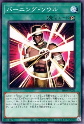 12 SD46-JP030 С˥󥰡