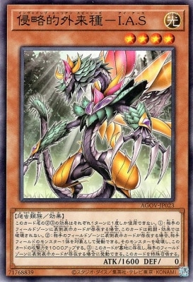 ��12��/02��/AGOV-JP023 ��άŪ�����ݣ�.��.��