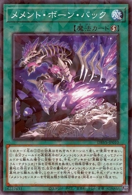 ��12��/DBVS-JP010 ����ȡ��ܡ��󡦥Хå��ڥΡ��ޥ�ѥ����
