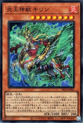 ��12��/SR14-JP002 �겦���� �����ڥ����ѡ��쥢��