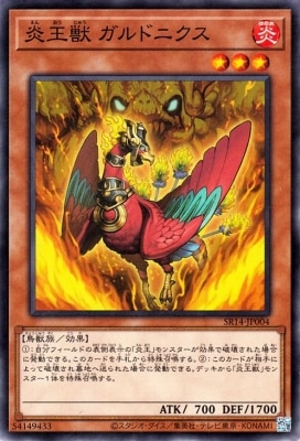 ��12��/SR14-JP004 �겦�� ����ɥ˥���