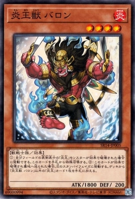 ��12��/SR14-JP005 �겦�� �Х���