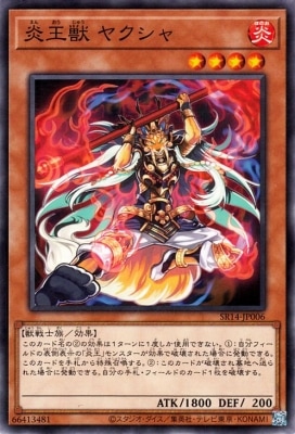 ��12��/SR14-JP006 �겦�� �䥯����