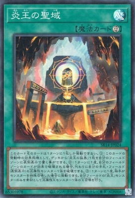 ��12��/SR14-JP024 �겦������ڥ����ѡ��쥢��