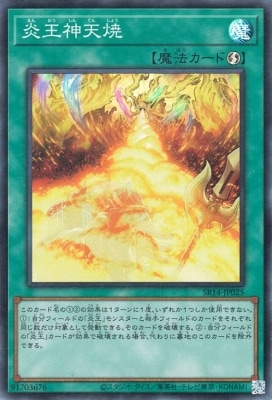 ��12��/SR14-JP025 �겦��ŷ�ơڥ����ѡ��쥢��