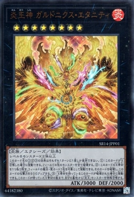 ��12��/SR14-JPP01 �겦�� ����ɥ˥����������˥ƥ��ڥ���ȥ�쥢��