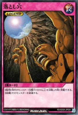 RD/SD0A-JP034 ��Ȥ���