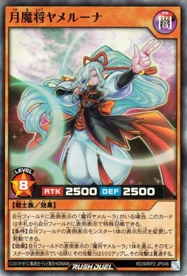 RD/MRP2-JP046 ���⾭���롼�ʡڥ����ѡ��쥢��