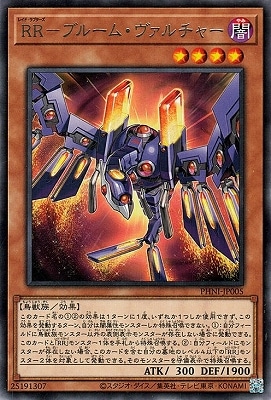 ��12��/03��/PHNI-JP005 �ңҡݥ֥롼�ࡦ��������㡼 R