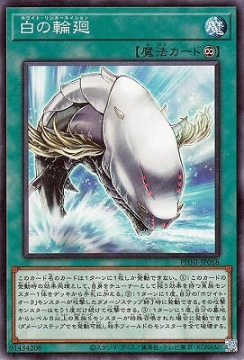 白の輪廻