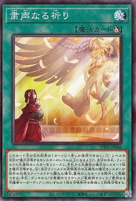 ��12��/03��/PHNI-JP066 �����ʤ뵧��