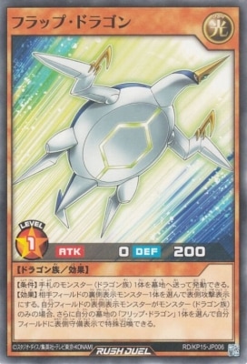 RD/KP15-JP006 �ե�åס��ɥ饴��