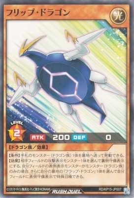 RD/KP15-JP007 �ե�åס��ɥ饴��