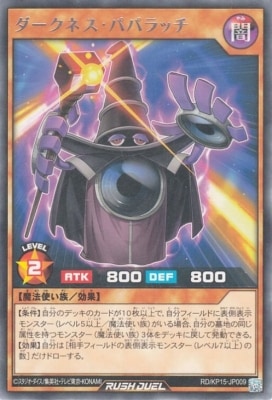 RD/KP15-JP009 �������ͥ����ѥѥ�å� R