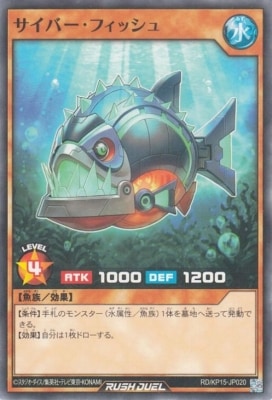 RD/KP15-JP020 �����С����ե��å���