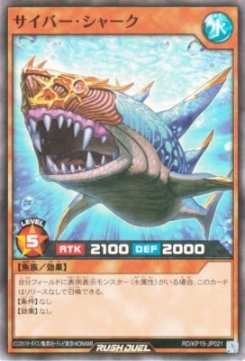 RD/KP15-JP021 �����С������㡼���ڥ����ѡ��쥢��